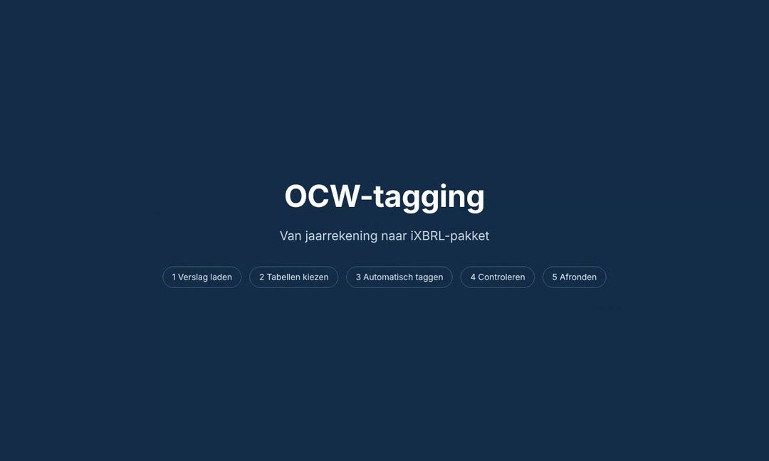 Video: een demo-jaarrekening in 5 stappen taggen en valideren voor OCW iXBRL