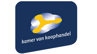 KvK annual reports